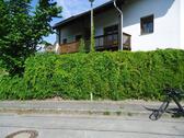 Foto - Doppelhaushälfte ca. 160 qm in Tiefenbach