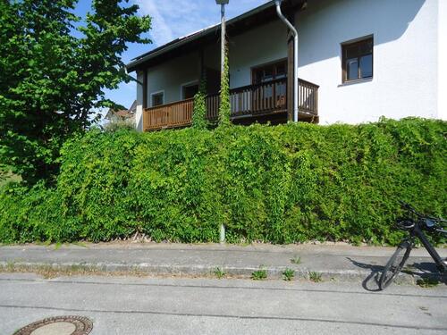 Foto - Doppelhaushälfte ca. 160 qm in Tiefenbach