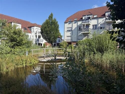 Foto - zur Miete. Seniorengerechtes, barrierefr. Wohnen direkt am Rhein.