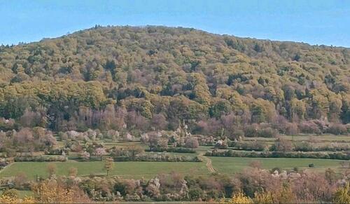 Foto - Einfamilienhaus in Ebermannstadt zu verkaufen