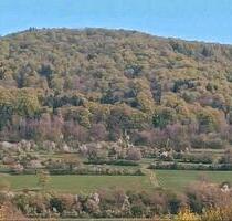 Einfamilienhaus in Ebermannstadt zu verkaufen - Pretzfeld