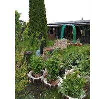 ( Sommerresidenz ) Pachtgarten - 2.500,00 EUR Kaltmiete, ca.  0,00 m² in Halberstadt (PLZ: 38820)