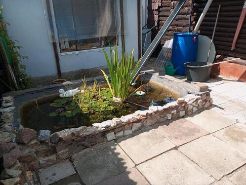 Foto - Grundst&uuml;ck in Halberstadt