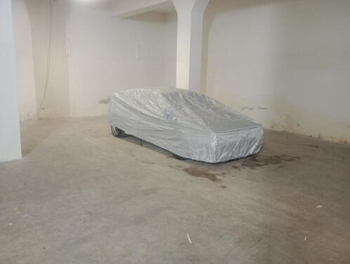 Foto - andere in Forst (Lausitz)