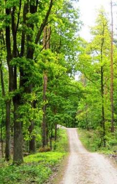 Foto - Waldgrundstück - 3,00&nbsp;EUR Kaltmiete, ca.&nbsp; 0,00&nbsp;m&sup2;