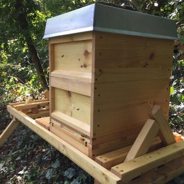 Foto - ******Imkerausrüstung, Grundstück, Bienen, Natur******