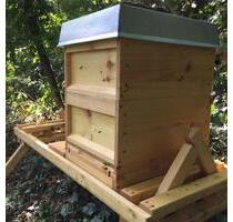 ******Imkerausrüstung, Grundstück, Bienen, Natur****** - Waldalgesheim