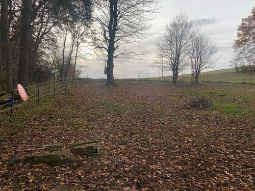 Foto - Grundstück in Tiefenbronn