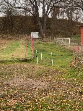 Foto - Grundstück in Tiefenbronn zur Miete