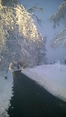 Foto - andere in Seiffen/Erzgebirge