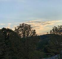 IDSTEIN hochwert. Penthouse 2,5 Zimmer, EBK, ruhige Stadlage