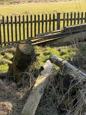 Foto - Grundst&uuml;ck zur Miete in Bautzen