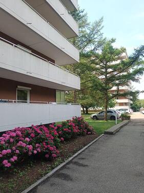 Foto - schöne, renovierte, ruhige 2-Zi. ETW in Rgbg West Weinweg