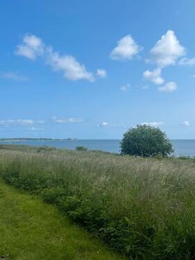Foto - 5 Zimmer Reihenhaus zum Kaufen in Kiel