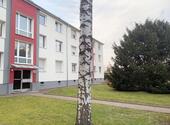 Foto - Etagenwohnung in Krefeld