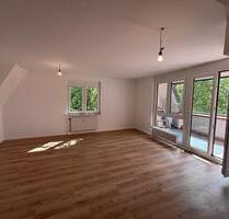 Große 1-Zimmer Wohnung Neu renoviert Bensheim-Stadtmitte