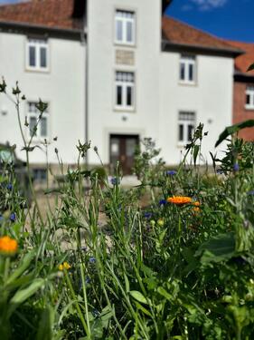 Foto - Helle 1,5-Zimmer Hofwohnung in Wennigsen-Sorsum