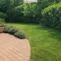 Foto - 3 Zimmer Bungalow in Celle