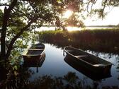Foto - Ferienhaus am See mit Angelboot Mecklenburg Schwerin Ostsee Hund