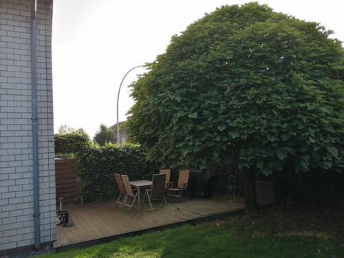 Foto - Einfamilienhaus zur Miete in Raesfeld