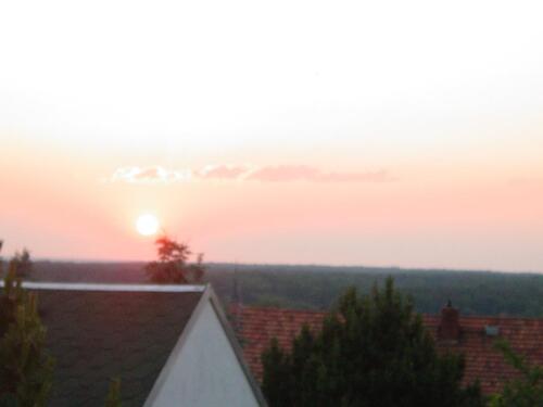 Foto - Dresden -Bühlau, Apartment mit Blick über die Bäume