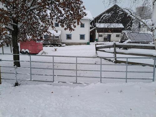Foto - Etagenwohnung zur Miete in Kirchberg im Wald