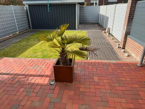 Foto - 6 Zimmer Reihenhaus in Rhede