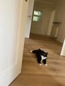 Foto - 4 Zimmer Erdgeschoßwohnung in Jena