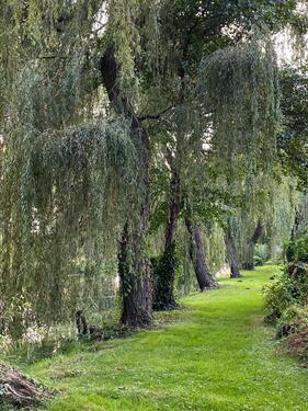 Foto - Etagenwohnung in Schwielowsee zur Miete