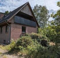 Großzügiges Familienhaus mit Traumgrundstück - Winsen (Aller)