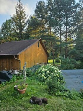 Foto - 6 Zimmer Einfamilienhaus in Oberwiesenthal