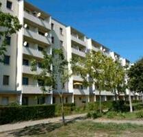 Eberswalde 16227 - 511,00&nbsp;EUR Kaltmiete, ca.&nbsp; 36,00&nbsp;m&sup2; in Eberswalde (PLZ: 16227) Brandenburgisches Viertel