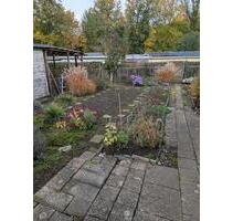 Kleingarten im Kleingartenverein Am Gerastrand in Erfurt