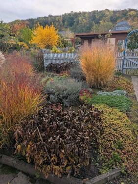 Foto - Grundstück in Erfurt