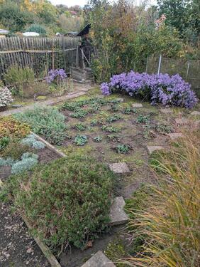 Foto - Grundstück in Erfurt zur Miete