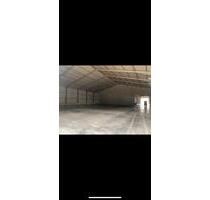 Lagerhalle, Lagerhaltung, Kühllager, Stellplätze, Gewebehalle - Großmehring