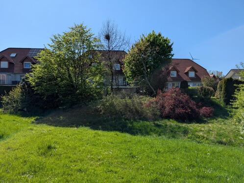 Foto - Doppelhaushälfte in Altenbeken zum Kaufen