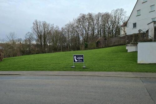 Foto - Grundstück Regglisweiler 89165 Dietenheim 990qm