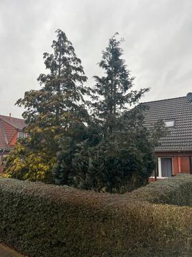 Foto - 4 Zimmer Doppelhaushälfte in Salzwedel