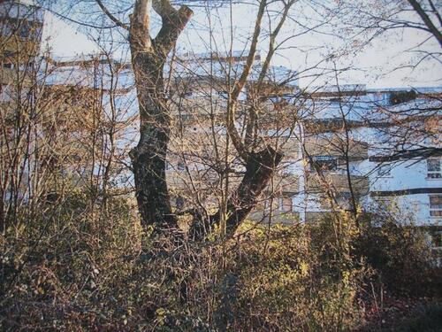 Foto - 3-Zi-Wohnung in Müllheim Baden - 750,00&nbsp;EUR Kaltmiete, ca.&nbsp; 63,00&nbsp;m&sup2;