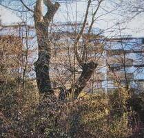 3-Zi-Wohnung in Müllheim Baden - 750,00&nbsp;EUR Kaltmiete, ca.&nbsp; 63,00&nbsp;m&sup2; in Müllheim (PLZ: 79379)