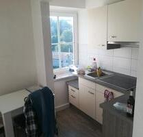 2-Raum-Wohnung m. EBK - Südvorstadt, nah am Wald, AB SOFORT - Plauen Altstadt