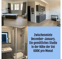 Zwischenmiete - 680,00 EUR Kaltmiete, ca. 35,00 m² in Kassel (PLZ: 34119) Vorderer Westen Zwischenmiete - 680,00 EUR Kaltmiete, ca. 35,00 m² in Kassel (PLZ: 34119) Vorderer Westen