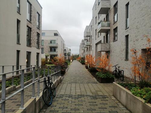 Foto - Erdgeschoßwohnung in Hamburg zur Miete