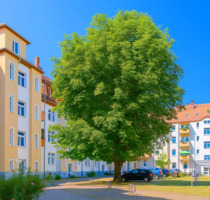 2-Zimmer-Wohnung mit neuer Einbauküche ab sofort zu vermieten - Riesa Neuweida