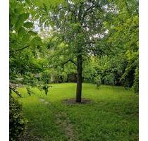 EFH in ruhiger Lage - 485.000,00&nbsp;EUR Kaufpreis, ca.&nbsp; 130,00&nbsp;m&sup2; in Heimertingen (PLZ: 87751)