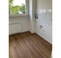 Hübsche 2-Zimmer- Wohnung mit Balkon und Aufzug - Frankfurt am Main Rödelheim