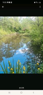 Foto - Freizeitgelände mit Fischweiher Hütte und viel Platz eingezäunt