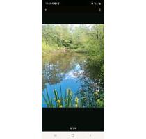 Freizeitgelände mit Fischweiher Hütte und viel Platz eingezäunt - Ötzingen