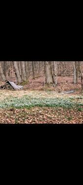 Foto - Grundstück in Ötzingen zur Miete